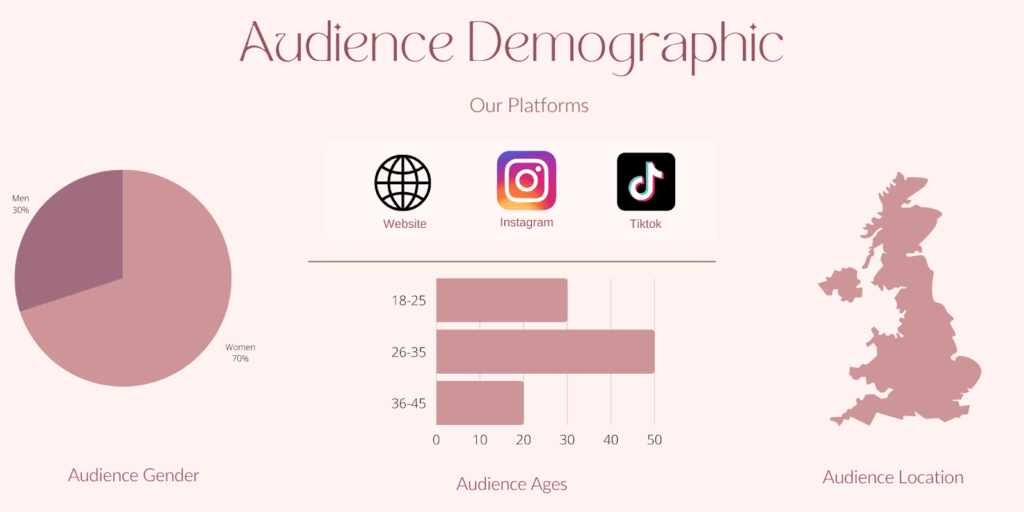 DDM-Aud-demograph